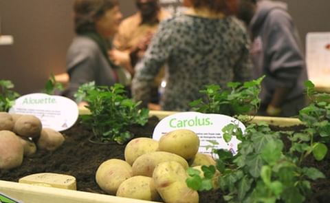 Agrico-ras Carolus smaakmaker tijdens Biobeurs Agrico-ras Carolus smaakmaker tijdens Biobeurs