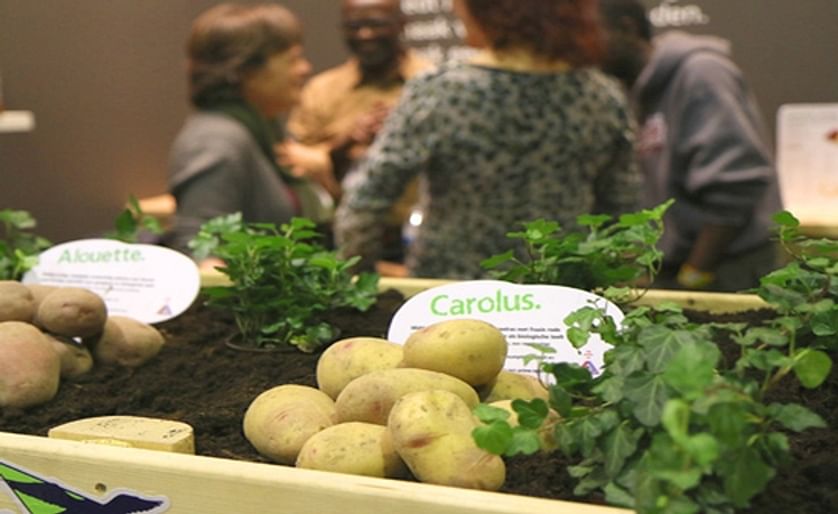 Agrico-ras Carolus smaakmaker tijdens Biobeurs