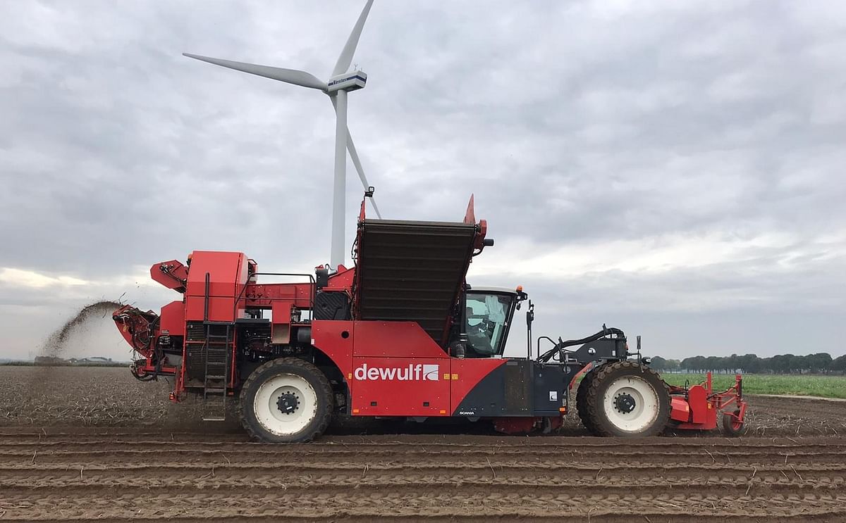 Potato harvest in full swing in North-western Europe; Average Yields expected.
