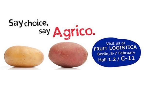 Agrico to celebrate sustainable choices during Fruit Logistica in Berlin