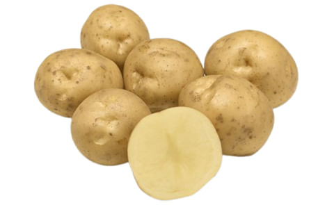 Fyone (PL 11-0111) Fyone (PL 11-0111)