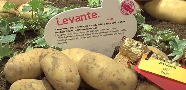 Agrico shows &#039;Next Generation&#039; potato varieties at Fruit Logistica