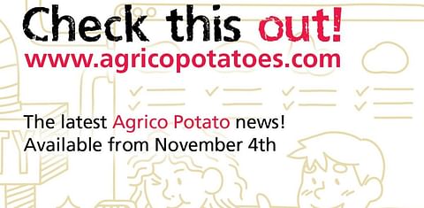 Agrico shows new potato varieties on online platform 