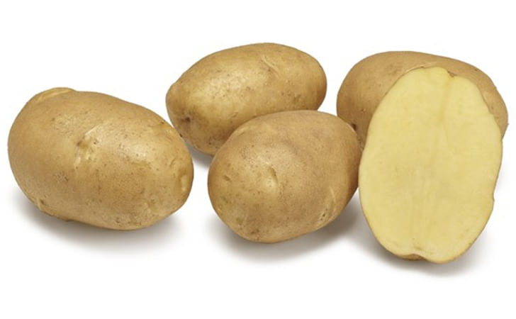 Nirvana (AR 10-2460) Nirvana (AR 10-2460)