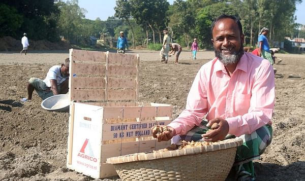 Agrico seed potatoes head to Bangladesh