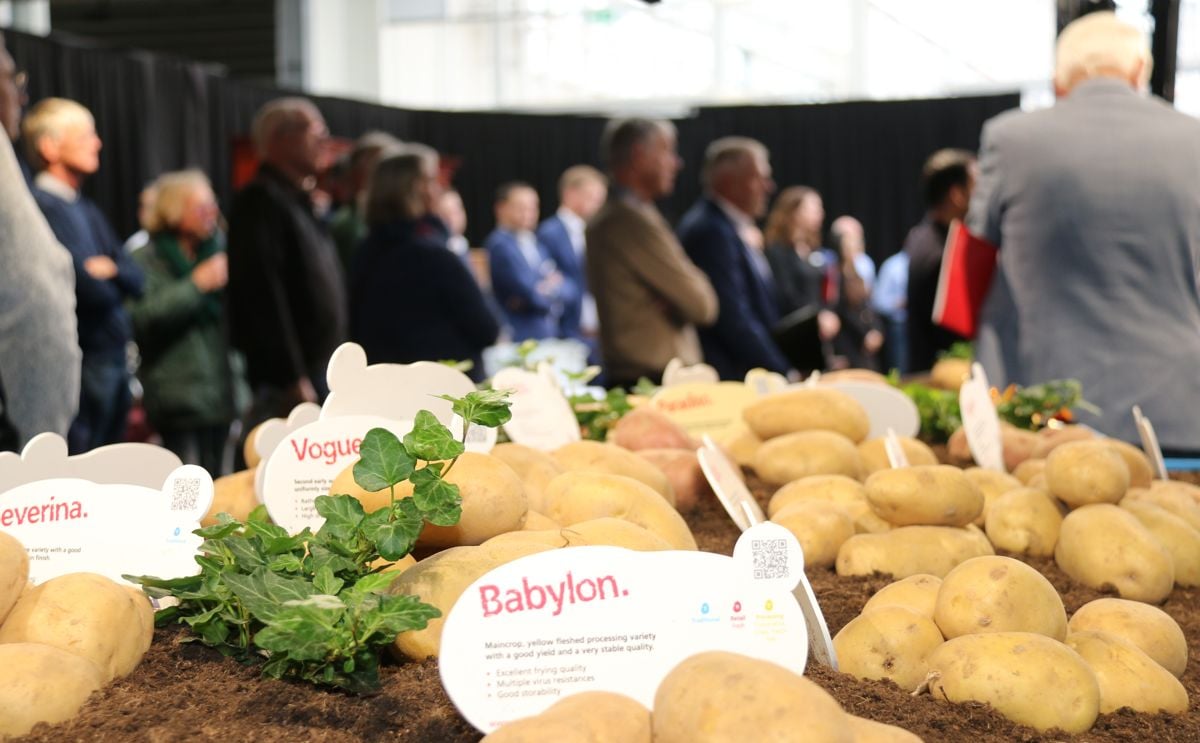 Agrico presents new potato varieties during Meet and Greet event Agrico presents new potato varieties during Meet and Greet event