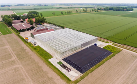 Agrico Research Agrico Research