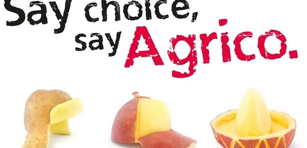 Agrico celebrating worldwide choice in seed and table potatoes at Fruit Logistica.