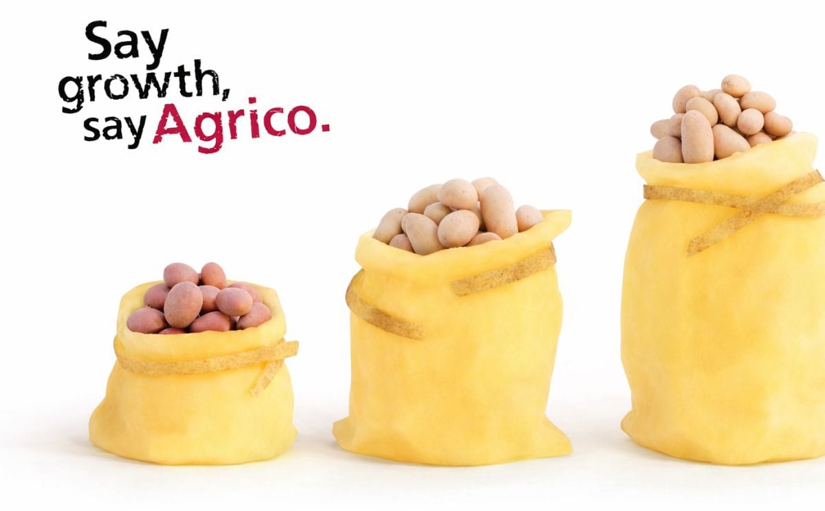 Agrico sees sales grow in tons of seed potatoes