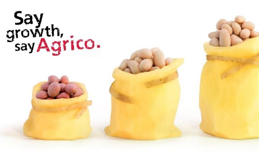 Agrico sees sales grow in tons of seed potatoes