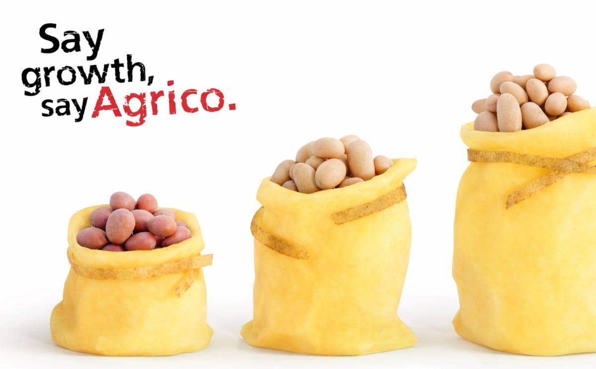 Agrico shows growth in potato varieties at Fruit Logistica 2017