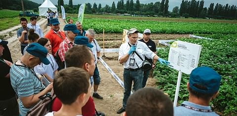 Agrico Rebuilding Potato Ukraine