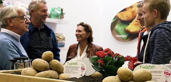 Potato variety presentations in the Netherlands: Agrico highlights natural resistance to Phytophthora.