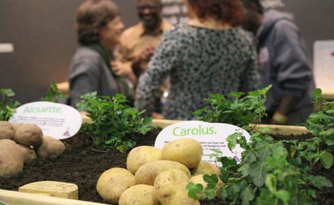 Agrico-ras Carolus smaakmaker tijdens Biobeurs Agrico-ras Carolus smaakmaker tijdens Biobeurs