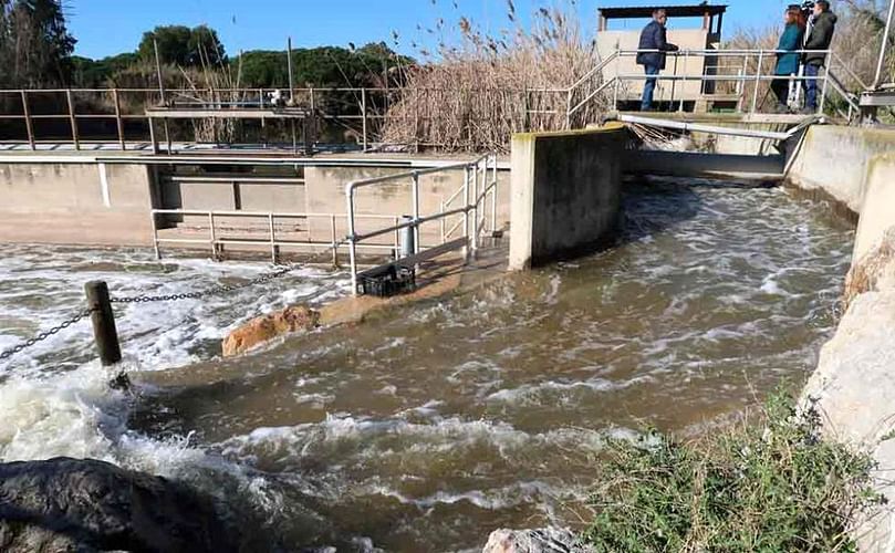 Los agricultores de Gavà y Viladecans cifran en 1,5 millones de euros las pérdidas por el temporal Gloria.