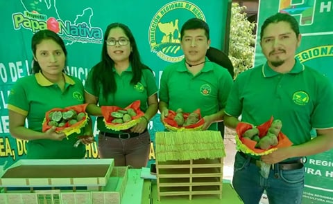 El proyecto de mejoramiento de la cadena productiva de la papa nativa en Huánuco beneficia a agricultores con parcelas demostrativas y capacitaciones. El proyecto de mejoramiento de la cadena productiva de la papa nativa en Huánuco beneficia a agricultores con parcelas demostrativas y capacitaciones.