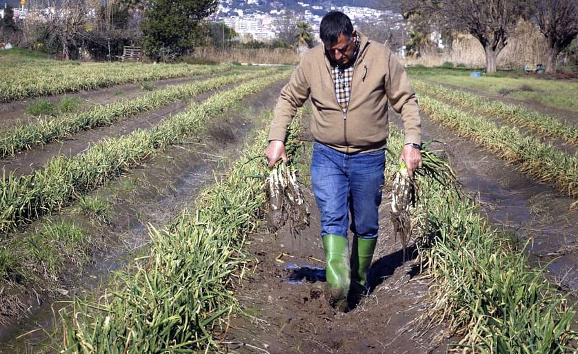 El agricultor Josep Pañella muestra sus campos llenos de barro tras el temporal.