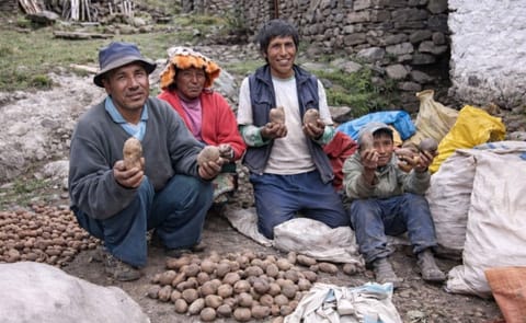 La Iniciativa Chirapaq Ñan publica su primer boletín sobre monitoreo sistemático de la alta diversidad de papas nativas La Iniciativa Chirapaq Ñan publica su primer boletín sobre monitoreo sistemático de la alta diversidad de papas nativas