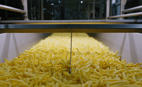 Agristo French Fries production Agristo French Fries production