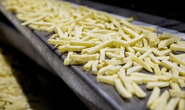 Agristo starts construction of second french fry line in Wielsbeke within months