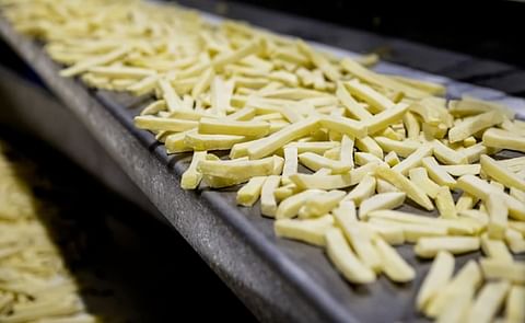 Frozen french fries, ready for packing. Frozen french fries, ready for packing.