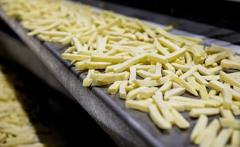 Frozen french fries, ready for packing.