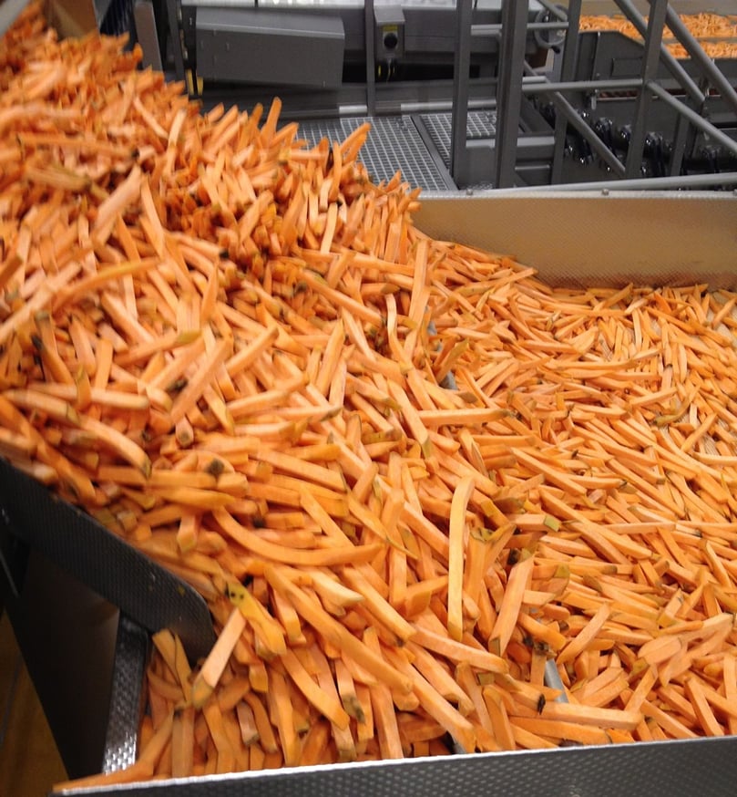 Pulsed Electric Field treatment can also be used successfully in the production of sweet potato fries, as sweet potatoes are even harder to cut than regular potatoes. Pulsed Electric Field treatment can also be used successfully in the production of sweet potato fries, as sweet potatoes are even harder to cut than regular potatoes.