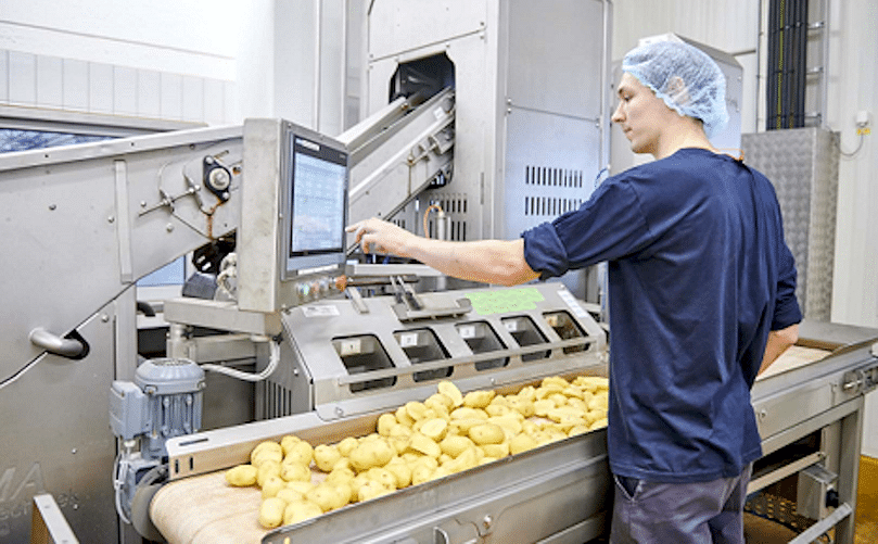 Producción de productos de patata congelada.