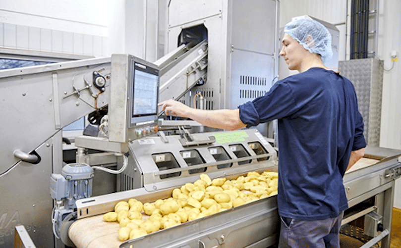 Producción de productos de patata congelada. Producción de productos de patata congelada.