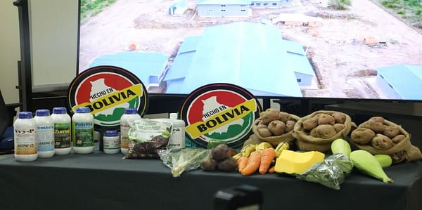 Eepaf garantiza 3.400 toneladas de agroinsumos para producción de papa en cinco departamentos. (Cortesía: MDPyEP.)