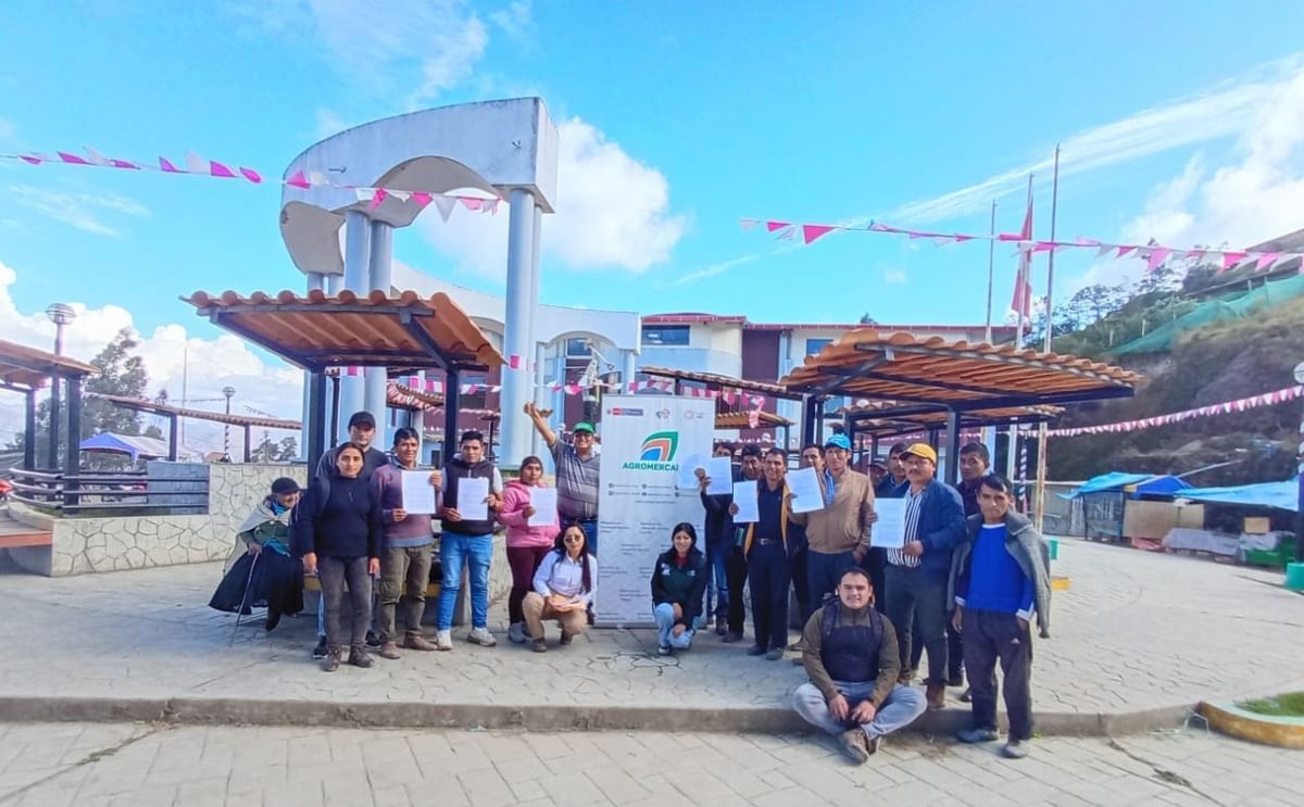 Productores de papa de Huánuco venderán 2975 toneladas a Inka Crops. Productores de papa de Huánuco venderán 2975 toneladas a Inka Crops.