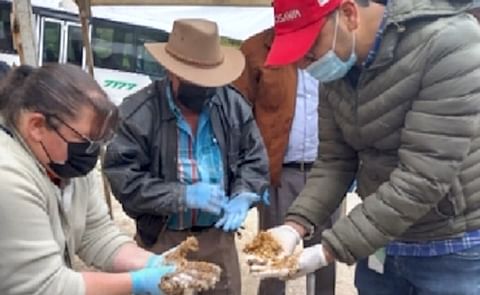 Agrosavioa Research Agrosavioa Research