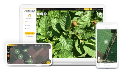 AgroScout imagery services on multiple devices. AgroScout imagery services on multiple devices.