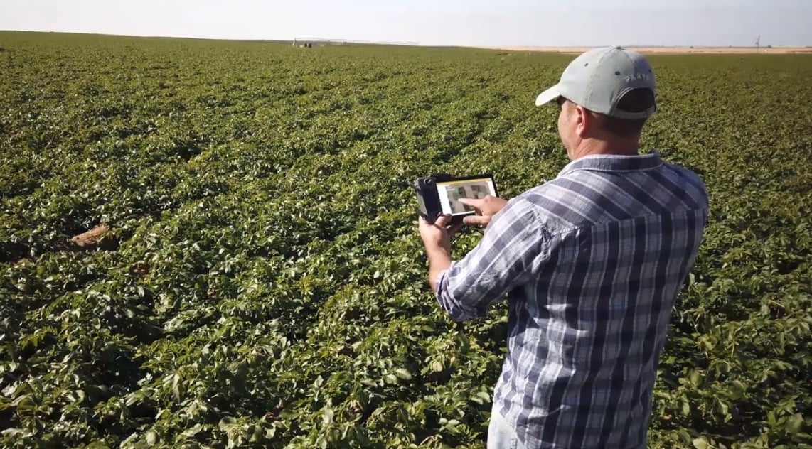 Video explaining how AgroScout works
