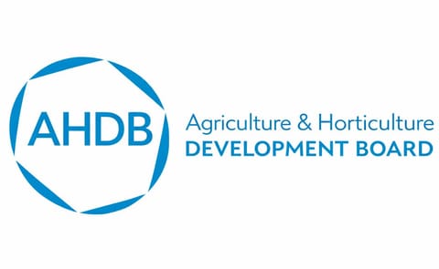 Sandra Ziles new director of Potato Council Sandra Ziles new director of Potato Council