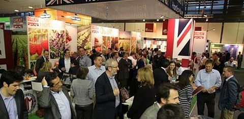 UK industry exhibitors report excellent outcomes from Fruit Logistica