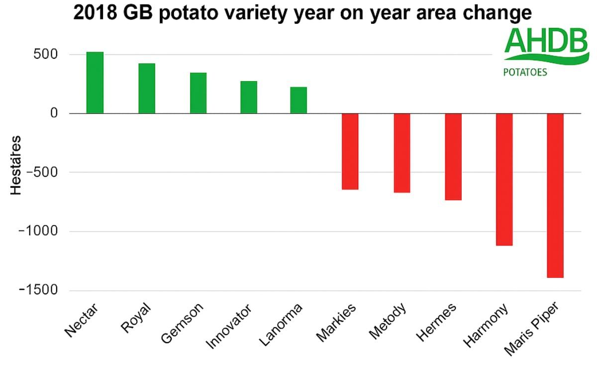 Year on Year area change (2018 vs 2017) for the top ten potato varieties grown in Great Britain (Courtesy: AHDB Potatoes)