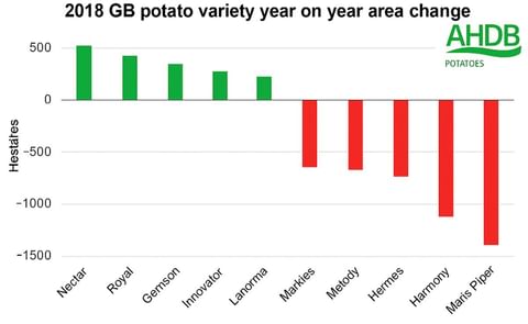 Year on Year area change (2018 vs 2017) for the top ten potato varieties grown in Great Britain (Courtesy: AHDB Potatoes) Year on Year area change (2018 vs 2017) for the top ten potato varieties grown in Great Britain (Courtesy: AHDB Potatoes)