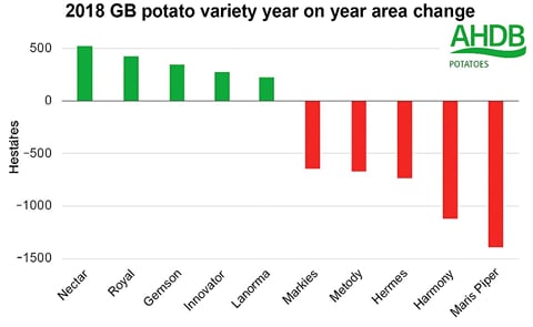 Year on Year area change (2018 vs 2017) for the top ten potato varieties grown in Great Britain (Courtesy: AHDB Potatoes) Year on Year area change (2018 vs 2017) for the top ten potato varieties grown in Great Britain (Courtesy: AHDB Potatoes)