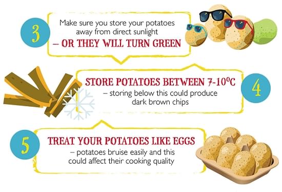A peek at some of the Chip Tips on the site A peek at some of the Chip Tips on the site