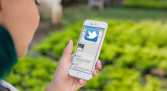 Social media, such as twitter can help to promote your business.And make sure to follow @potatopro Social media, such as twitter can help to promote your business.And make sure to follow @potatopro