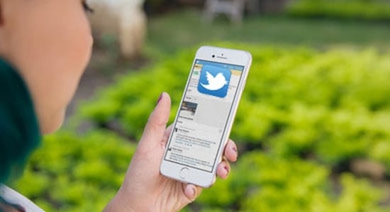 Social media, such as twitter can help to promote your business.And make sure to follow @potatopro Social media, such as twitter can help to promote your business.And make sure to follow @potatopro
