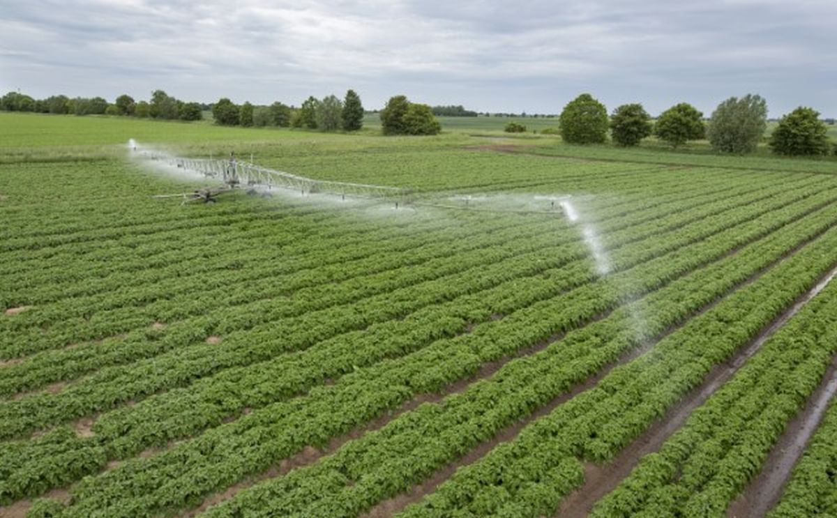 Dry weather drives smart irrigation in the United Kingdom Dry weather drives smart irrigation in the United Kingdom