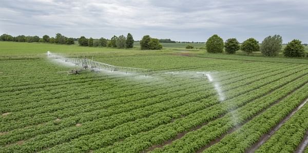 Dry weather drives smart irrigation in the United Kingdom
