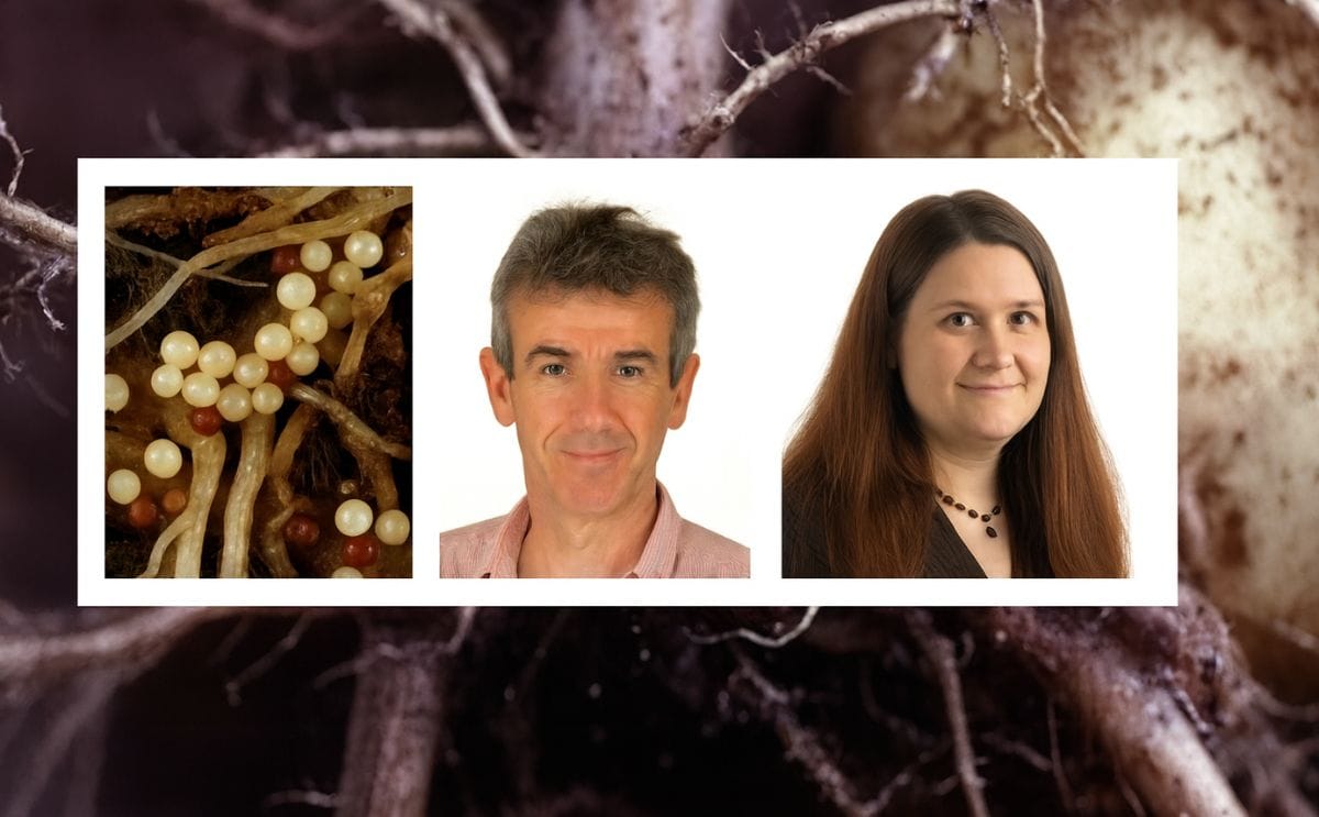 Dr Jon Pickup (center) Head of Virology & Zoology at Science & Advice for Scottish Agriculture (SASA) will lead on one of three AHDB Potatoes Fellowship Awards, specifically seeking to secure critical potato nematology expertise for the future.Appointed