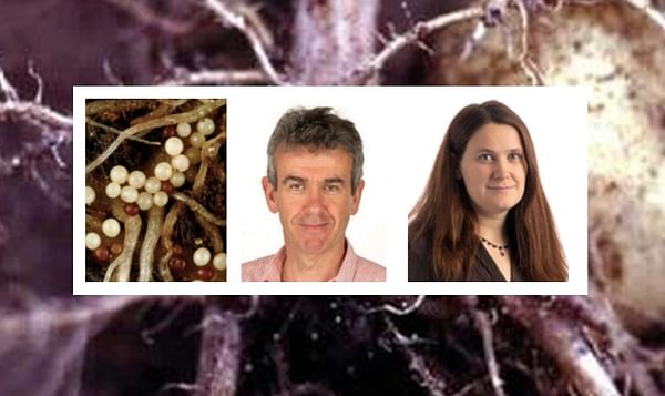 AHDB Fellowship to safeguard critical potato nematology expertise in the United Kingdom
