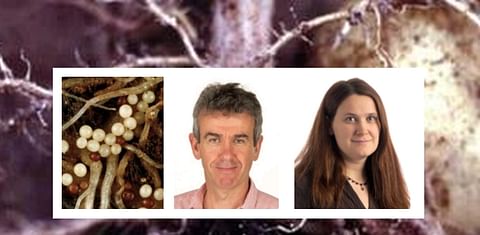 AHDB Fellowship to safeguard critical potato nematology expertise in the United Kingdom