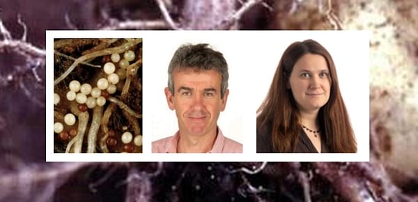 AHDB Fellowship to safeguard critical potato nematology expertise in the United Kingdom