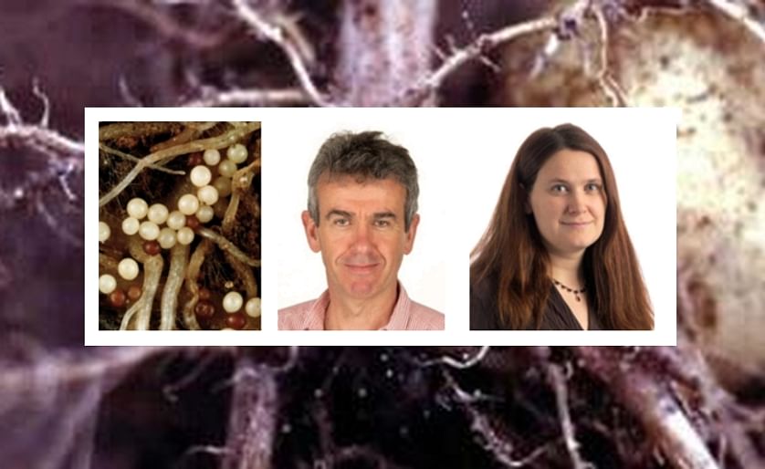 Dr Jon Pickup (center) Head of Virology & Zoology at Science & Advice for Scottish Agriculture (SASA) will lead on one of three AHDB Potatoes Fellowship Awards, specifically seeking to secure critical potato nematology expertise for the future.
Appointed