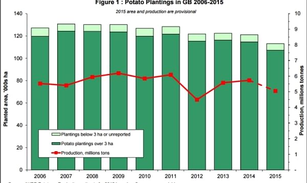 AHDB Potatoes provides first estimate of 2015 potato plantings in Great Britain